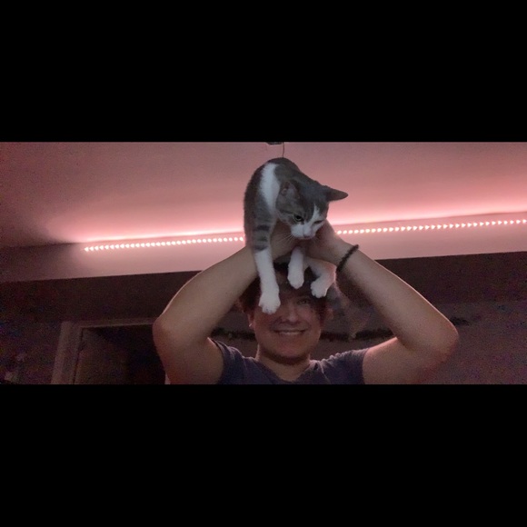 Meet your Posher, Alanna - Picture 1 of 1